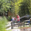 kirnduls gyrben 2012.05.27. 048